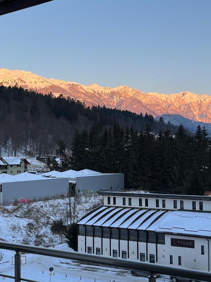 Coca Apart Mountain View Синая Екстериор снимка