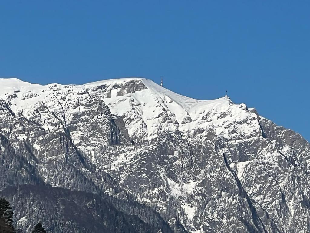 Coca Apart Mountain View Синая Екстериор снимка