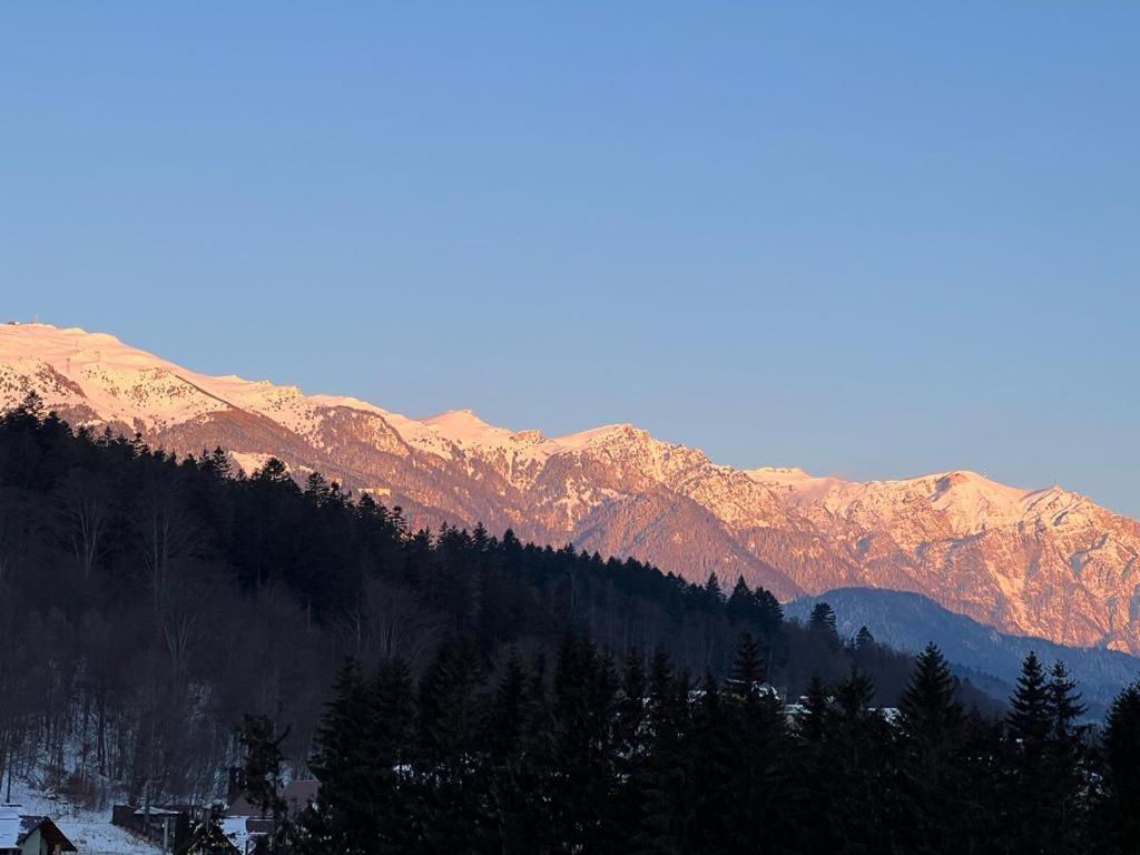 Coca Apart Mountain View Синая Екстериор снимка
