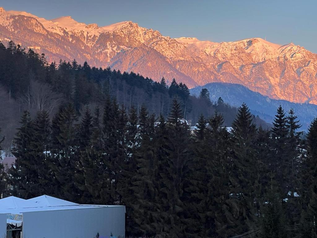 Coca Apart Mountain View Синая Екстериор снимка