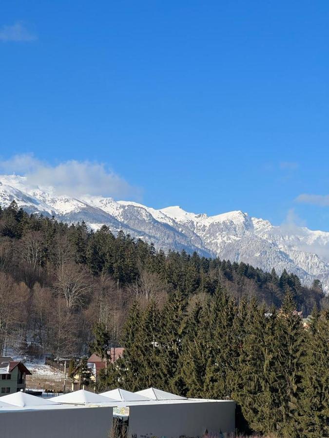 Coca Apart Mountain View Синая Екстериор снимка