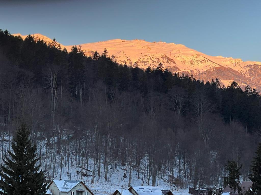 Coca Apart Mountain View Синая Екстериор снимка