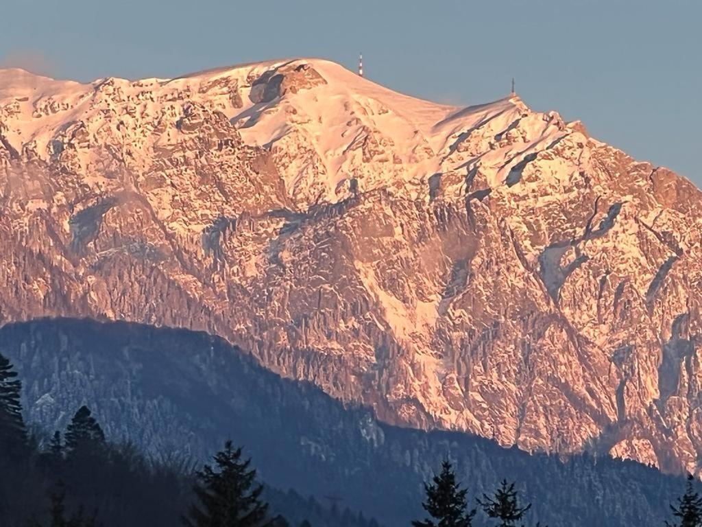 Coca Apart Mountain View Синая Екстериор снимка