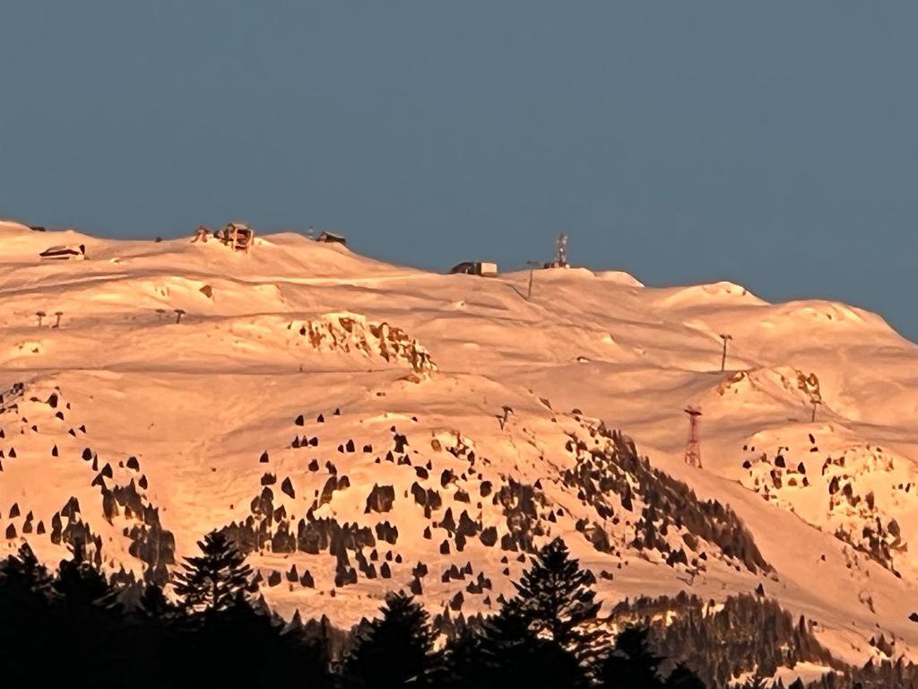 Coca Apart Mountain View Синая Екстериор снимка