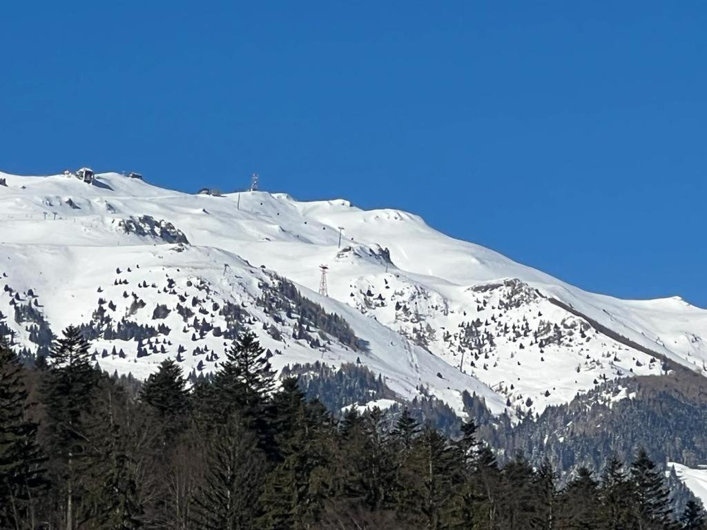 Coca Apart Mountain View Синая Екстериор снимка