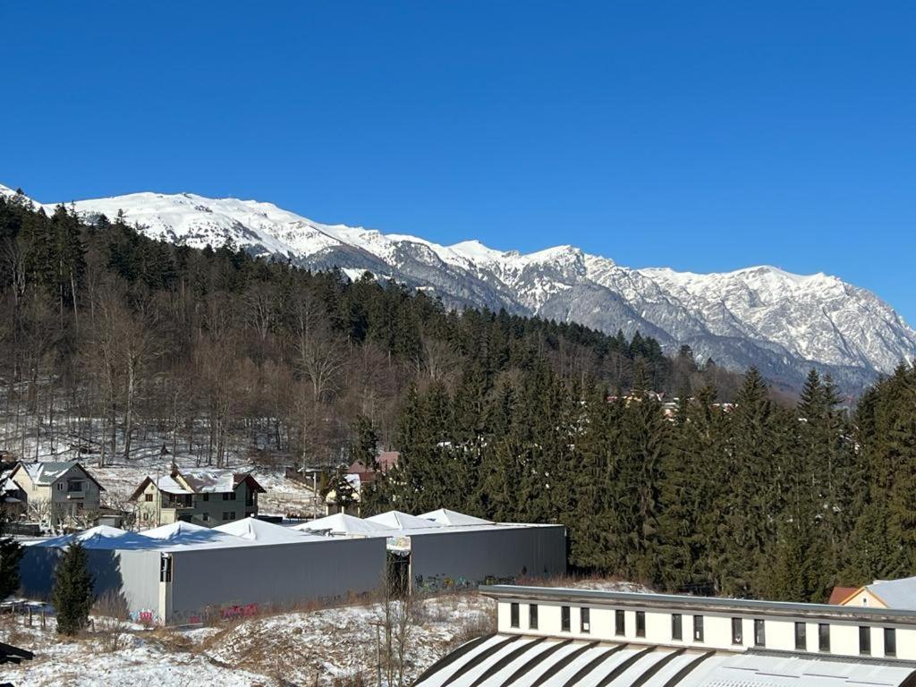 Coca Apart Mountain View Синая Екстериор снимка